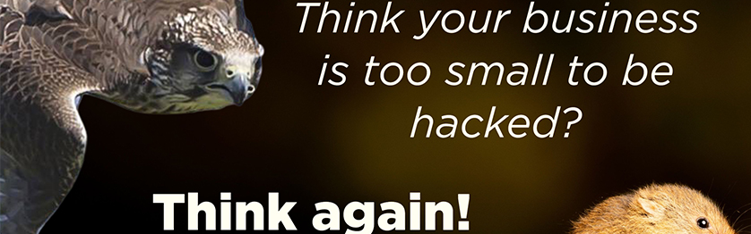 Think your business is too small to be hacked? Think again!