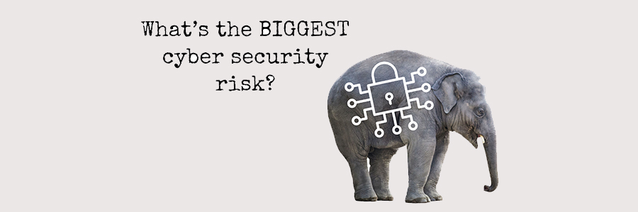 What’s the biggest cyber security risk?