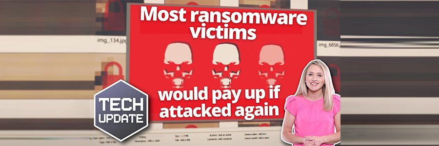 Most ransomware victims would pay up if attacked again