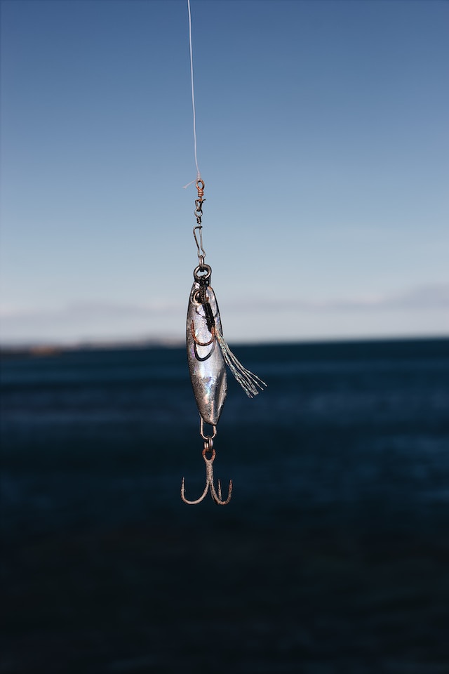 Phishing: The Art of Cybercrime