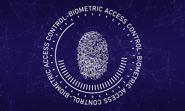 Nonprofit Cybersecurity: For Executive Directors and Managers