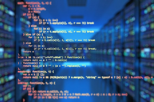 How do I set up a server for my business?